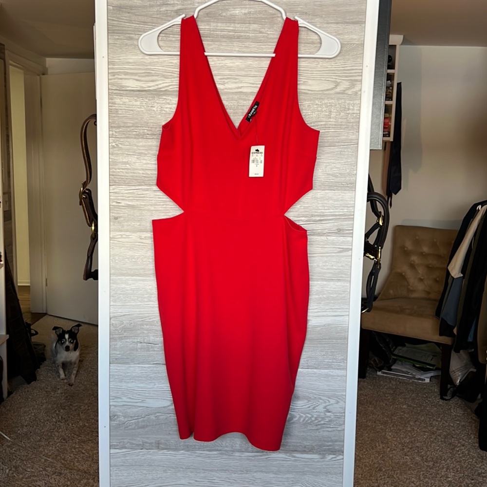 Express V-Neck Red Dress with Cut Out Sides
